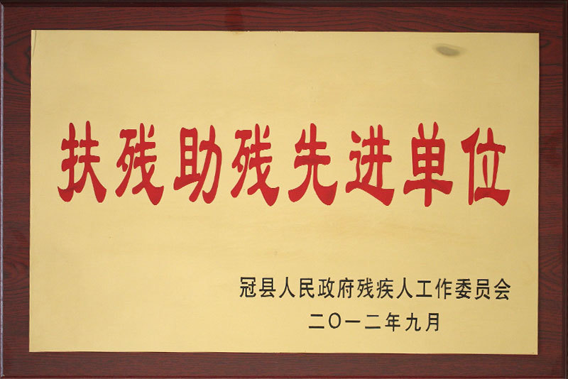 Advanced units for poverty alleviation and disability assistance