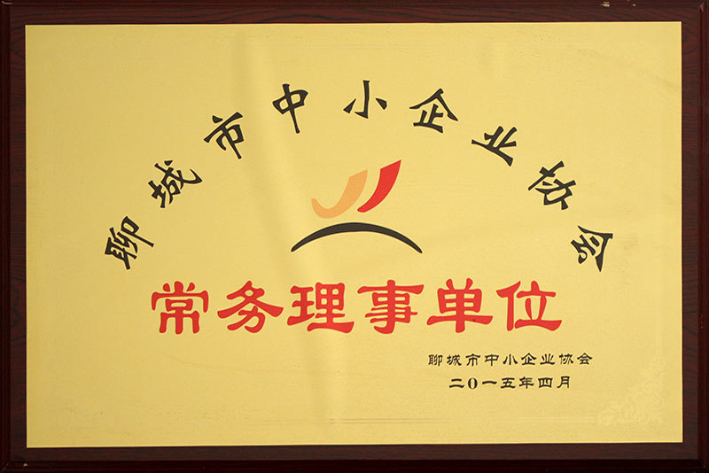 Executive Director Unit