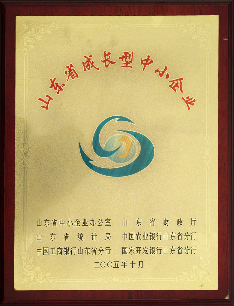 Small and Medium-sized Enterprises in Shandong Province
