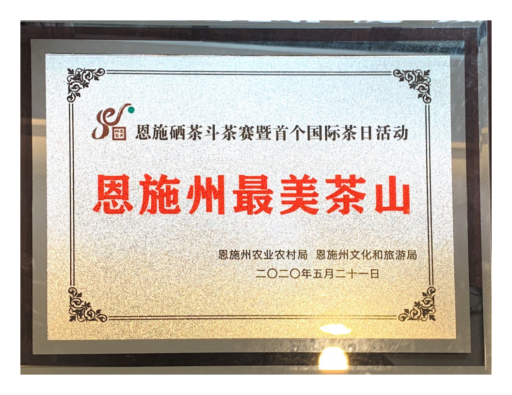 2020 won the most beautiful tea mountain in Enshi 2020 won the most beautiful tea mountain in Enshi