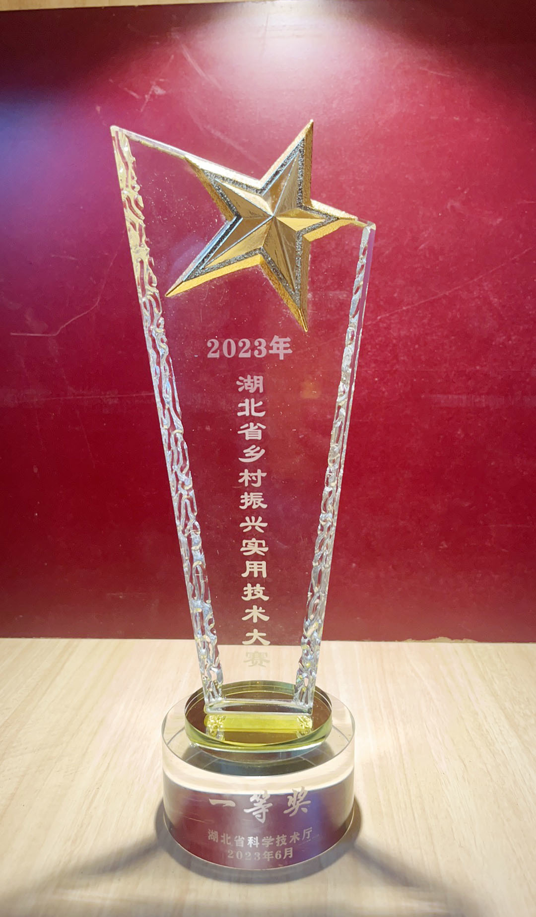 2023 Hubei Province Rural Revitalization Practical Technology Competition First Prize