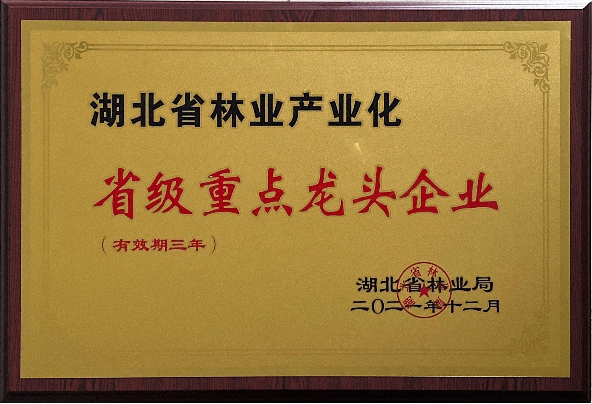 2021年荣获湖北省林业产业化省级重点龙头企业 2021年荣获湖北省林业产业化省级重点龙头企业