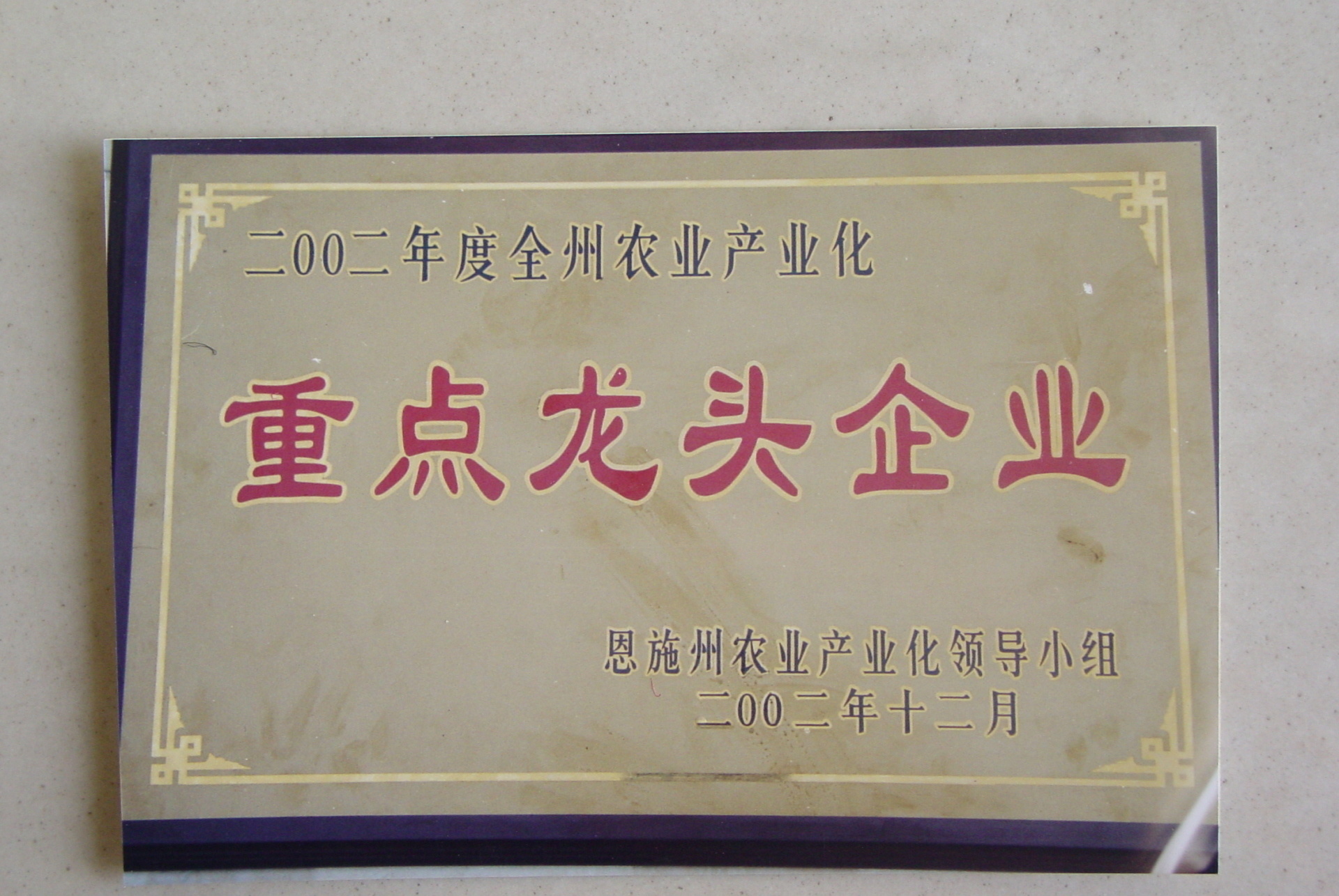 2002年荣获州级重点龙头企业