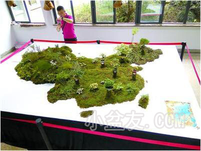 第三届全国微型小品盆景展在上海开幕