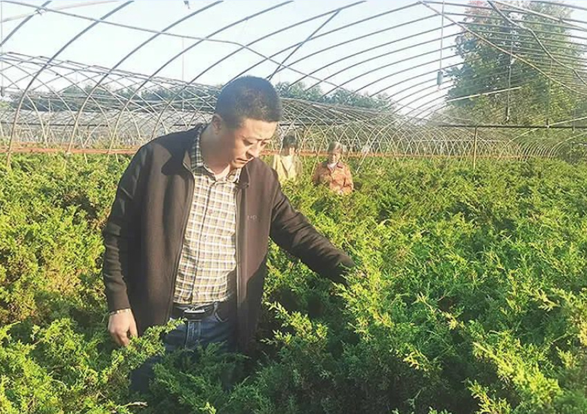 获5项专利的园艺大师是这样炼成的