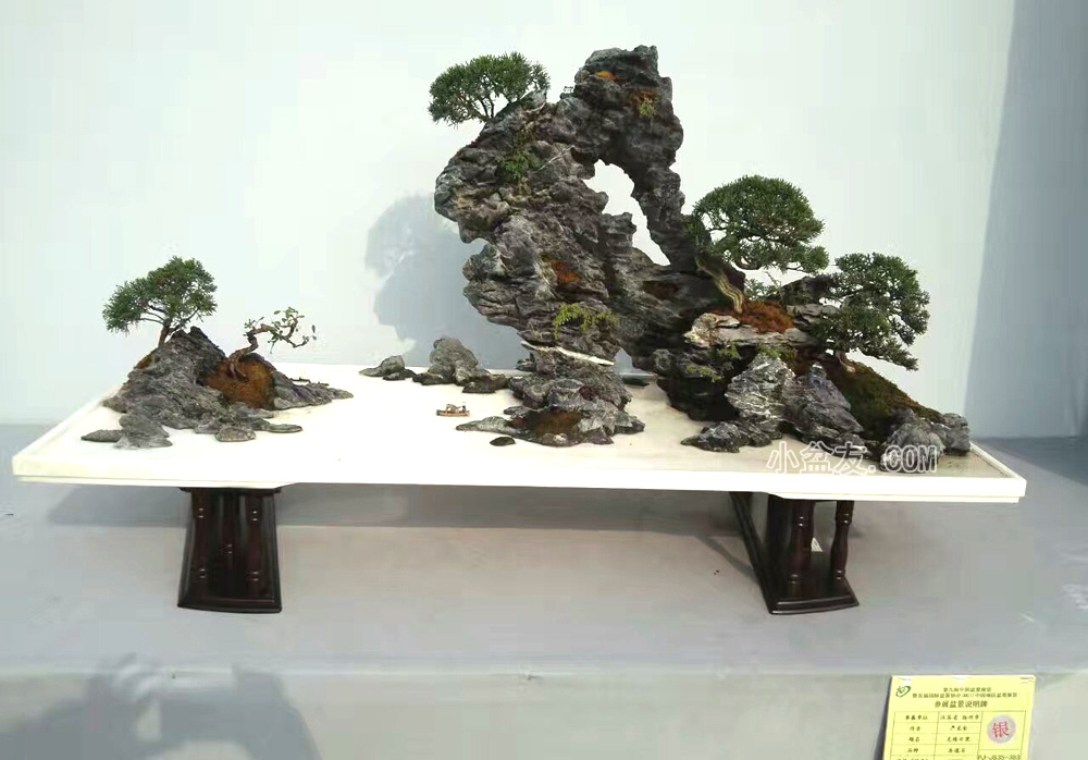 严龙金山石盆景《龙腾万里》