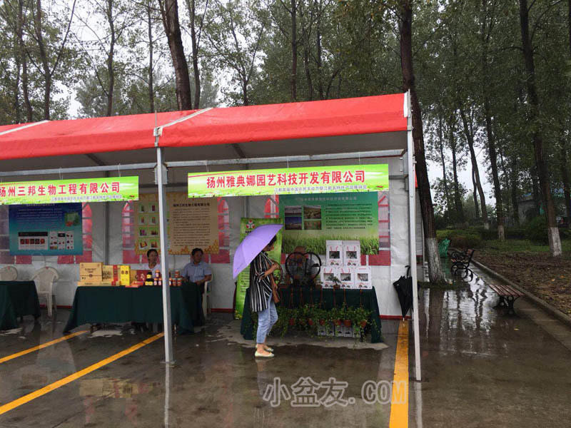 雅典娜