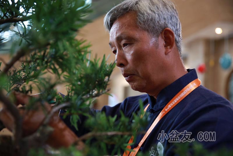 非遗节上给你“好看” 看全国25位传承人怎么玩转盆景