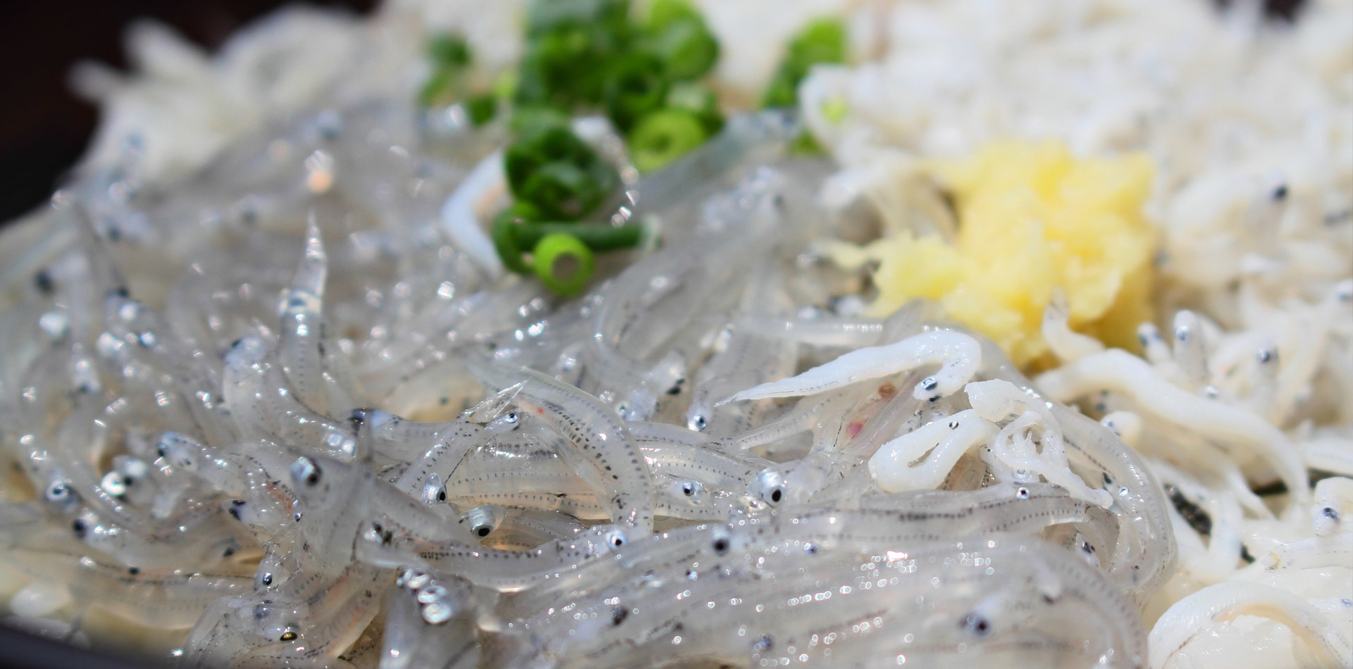 興湖銀魚，暢享美食佳肴