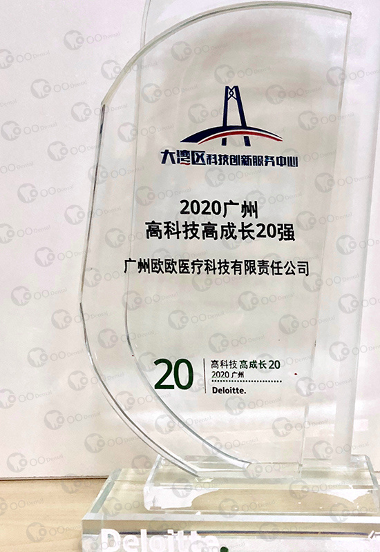 Guangzhou Tech Fast 20 Award by Deloitte