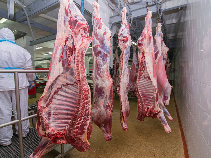 Убой (butcher;slaughter) означает убийство скота и птицы ножом