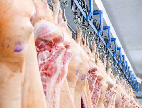 Key points of pig slaughter technology