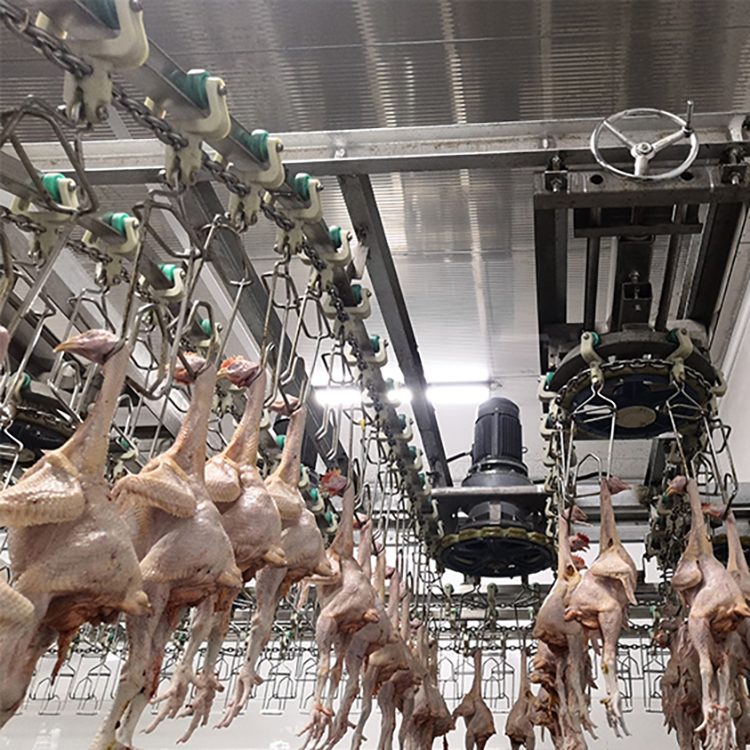 Chicken slaughtering equipment line
