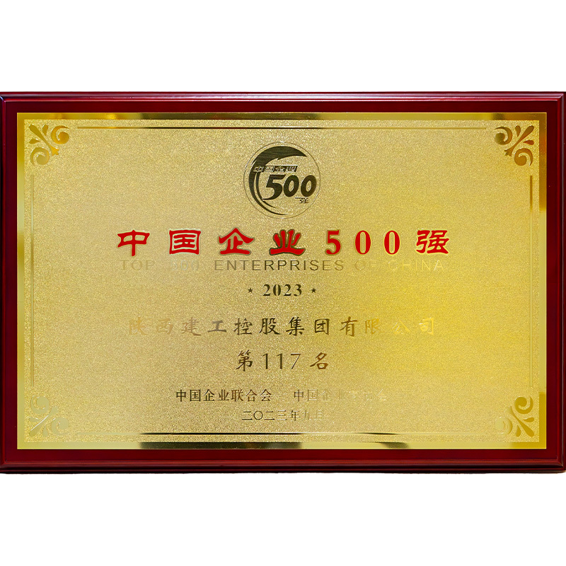 中国企业500强第117名