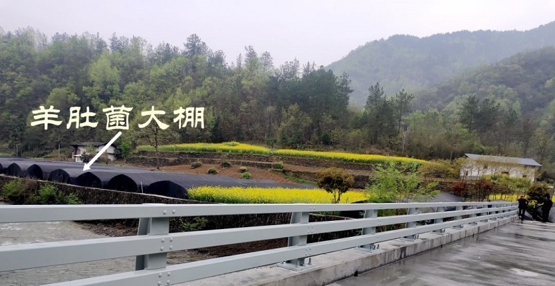 陕西建工集团