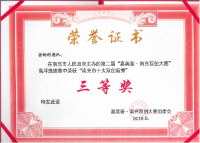 “南充市十大創新秀” 三等獎