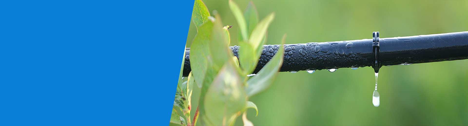 Our commitment: extends beyond mere products.