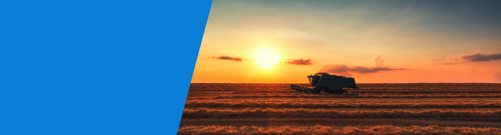 Creativity：Transformative impact we bring to agriculture