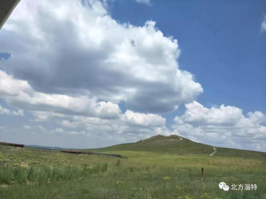 山東北方淄特特種油股份有限公司