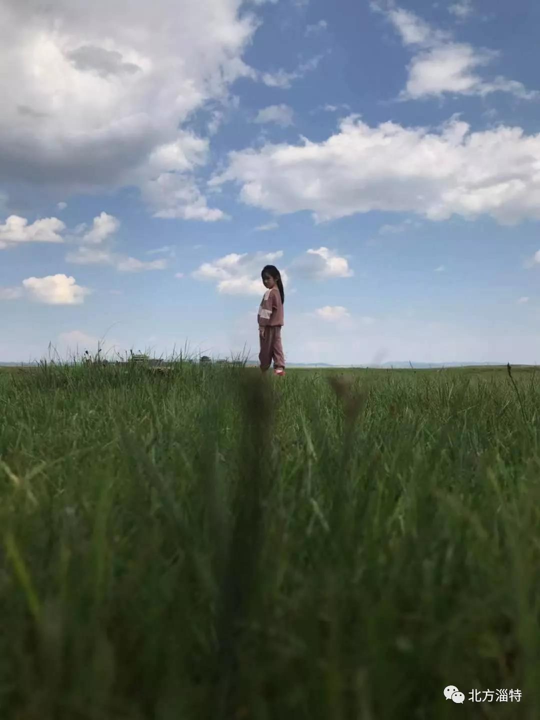 山東北方淄特特種油股份有限公司