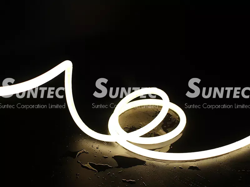 LED Neon