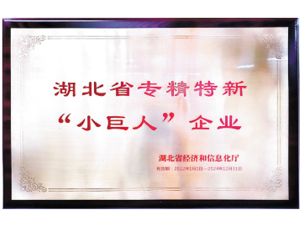 湖北省專精特新“小巨人”企業(yè)