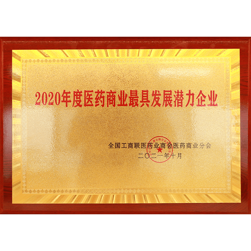 2020年度醫藥商業最具發展潛力企業