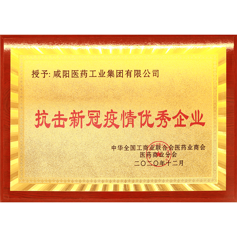 抗擊新冠疫情優(yōu)秀企業(yè)