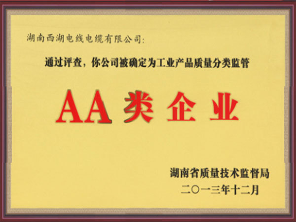 AA類企業(yè)