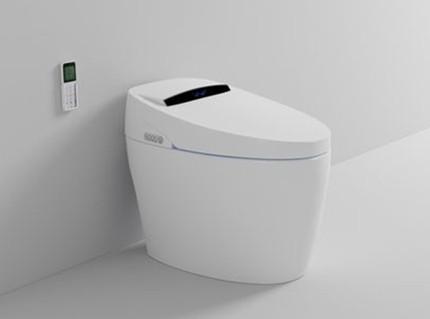 马桶盖的发展