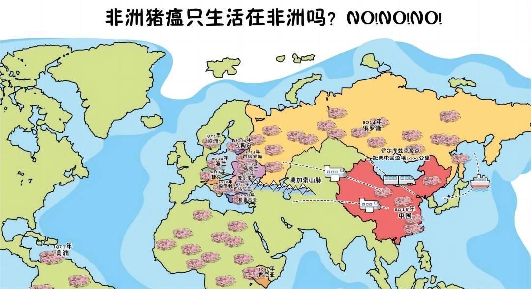 了解非洲豬瘟：圖解科普帶你了解防治知識