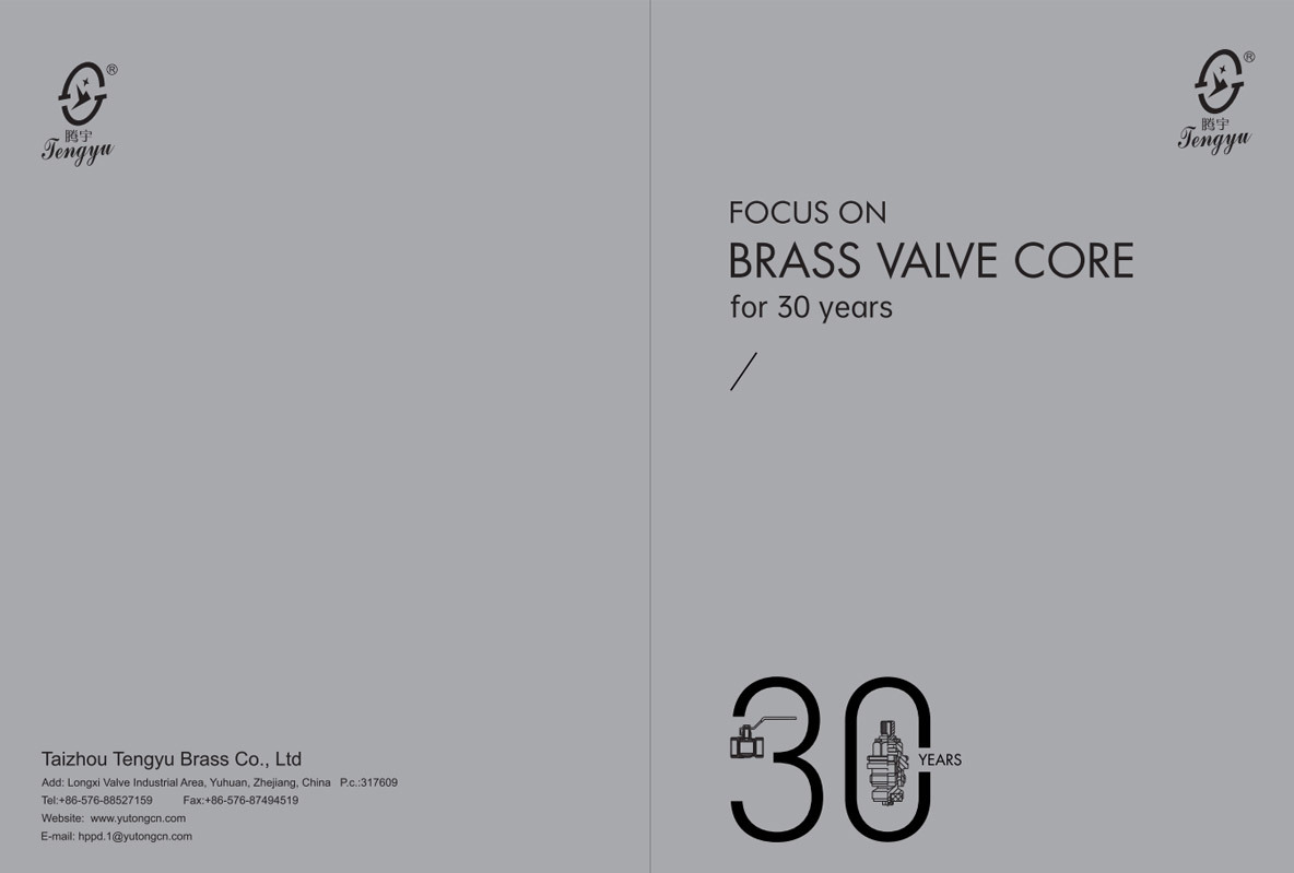 2023 Tengyu Brass Valve Core 2023 Tengyu Brass Valve Core