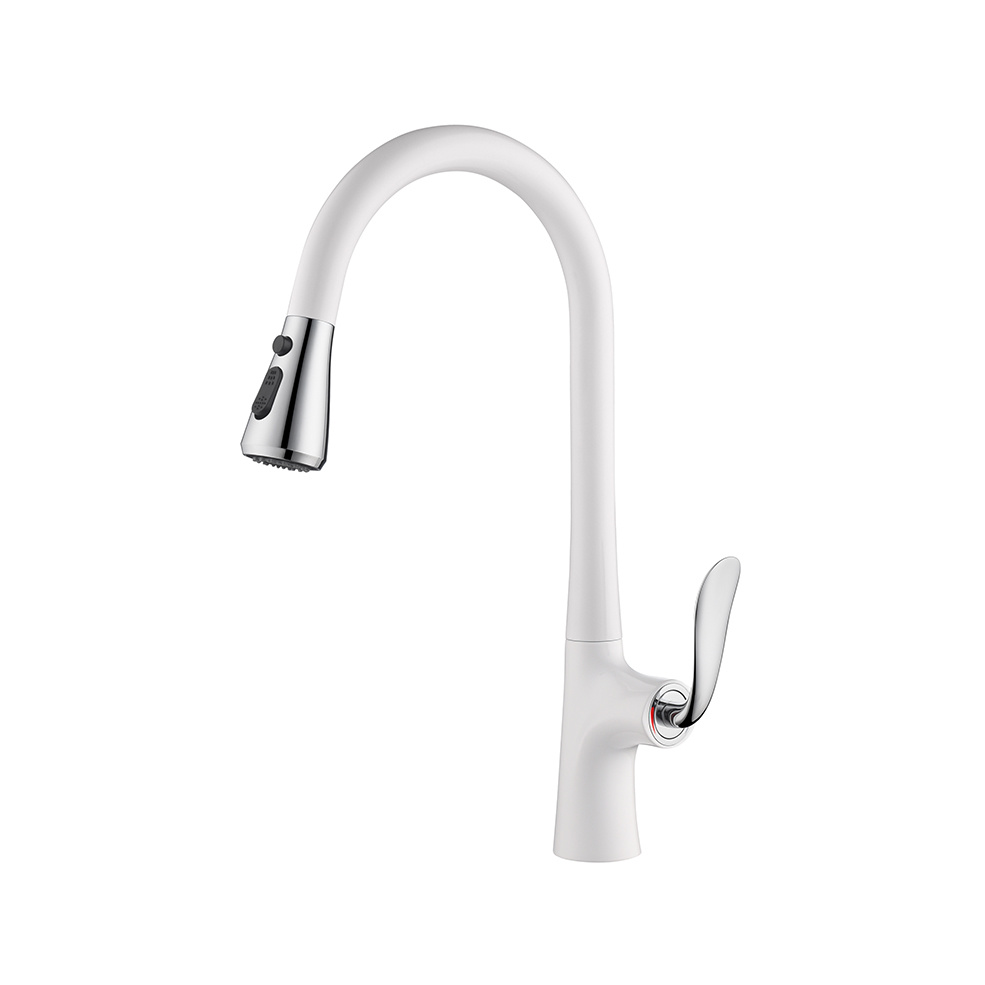 Kitchen Faucet