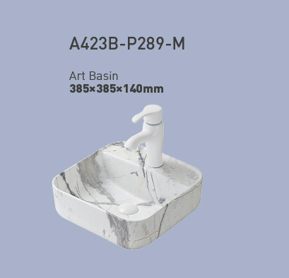 A423B-P289-M