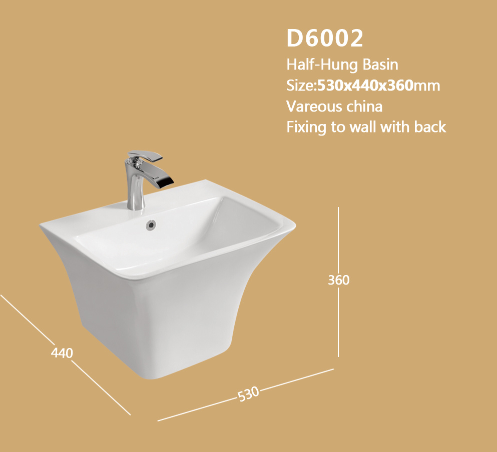 D6002
