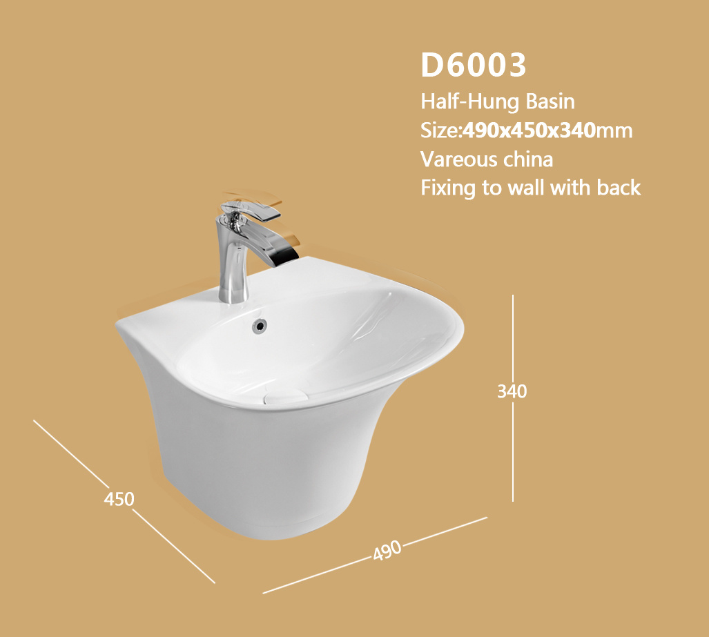 D6003