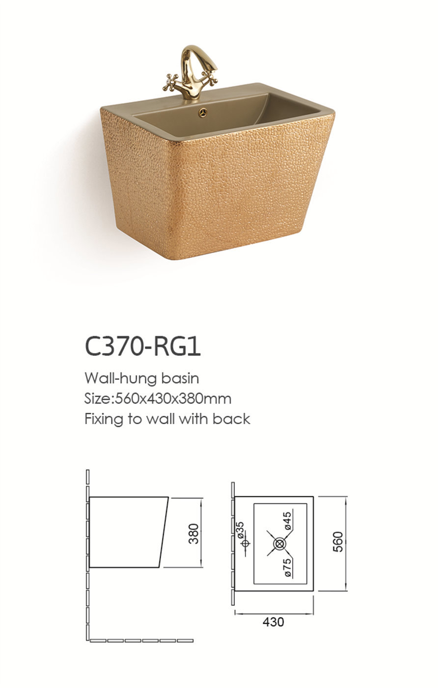 C370-RG1