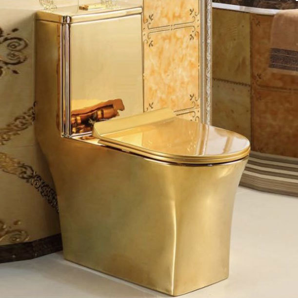 Electroplate Toilet