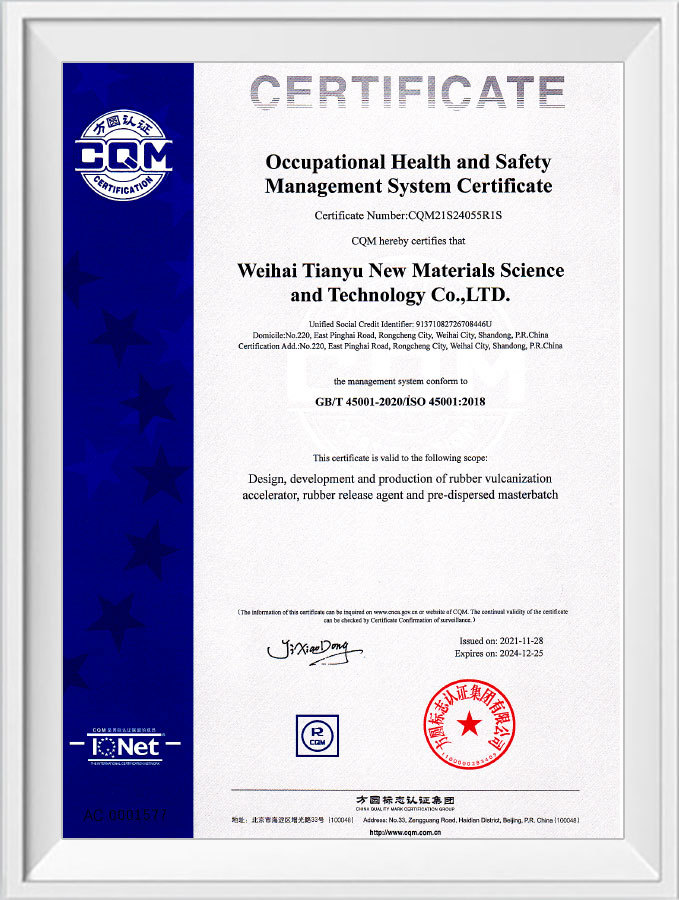 Professional Health and Safety GB T 45001-2020 ISO 45001 2018