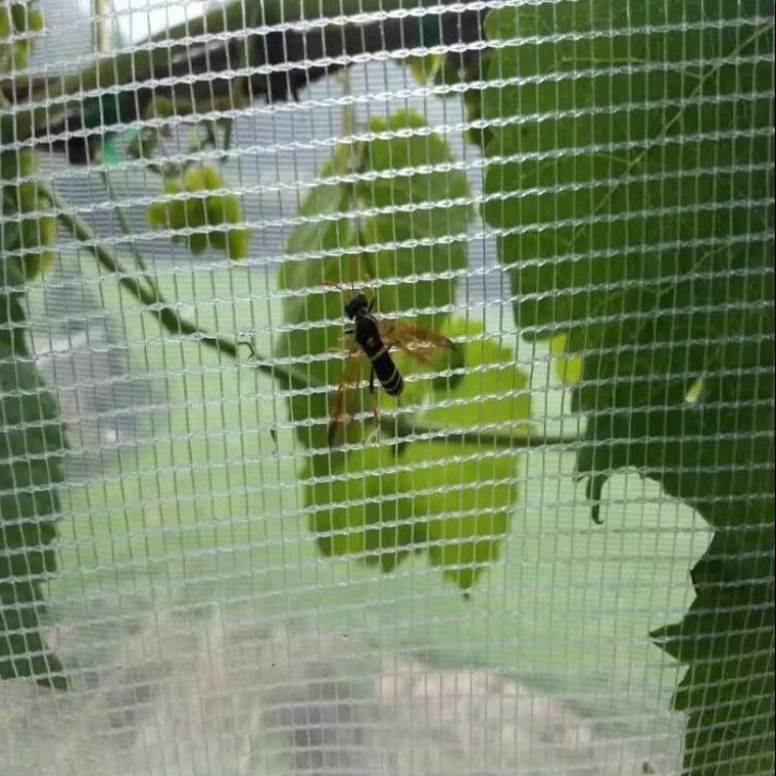 ANTI BEE NET