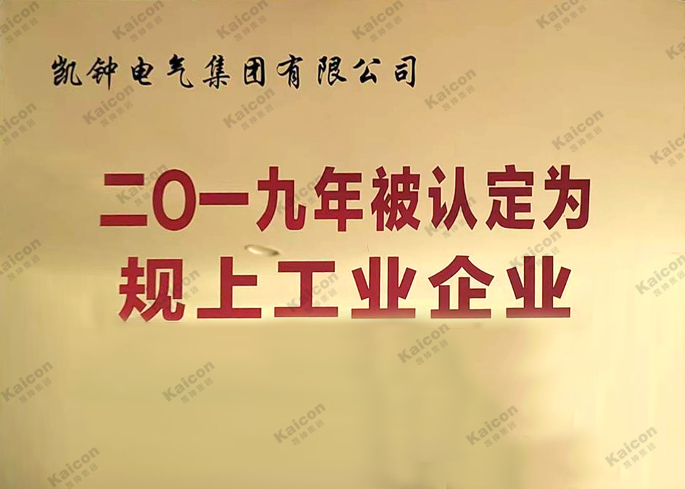 二0一九年被認定為規上工業企業