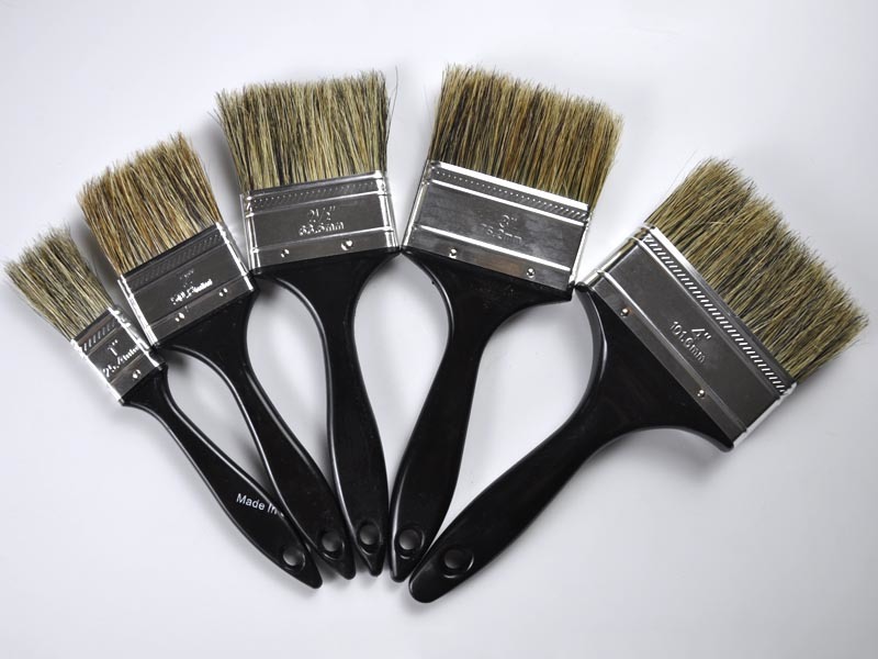 Mixed Bristle Paint Brush