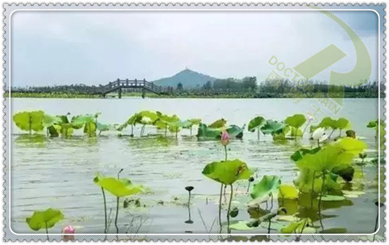长田漾湿地公园雨水收集池