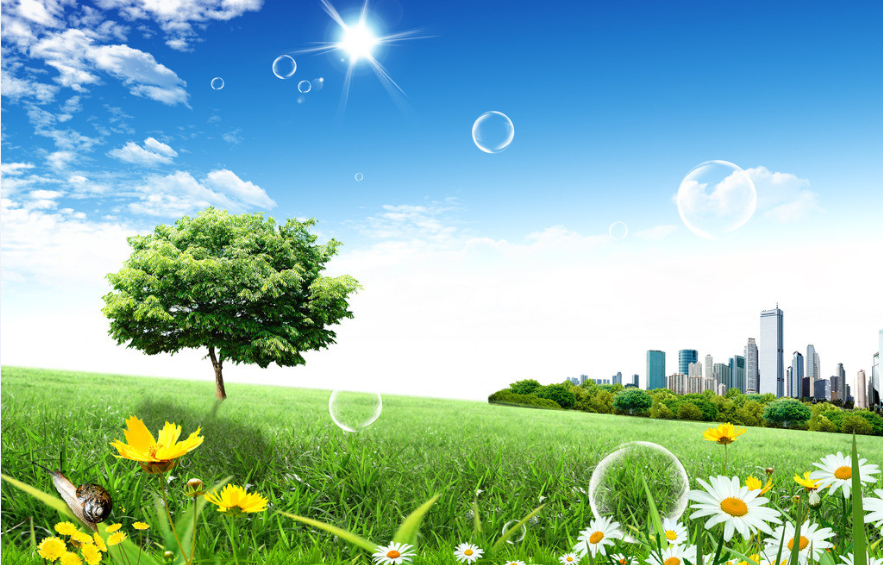 Chairman of the board of directors: economic and environmental protection should not be opposed