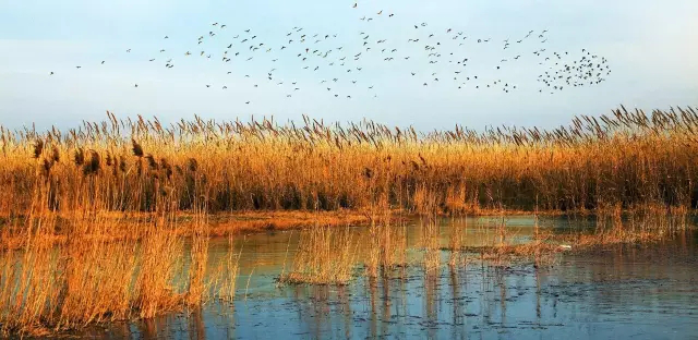 Anhui or add another 9 wetland parks this year