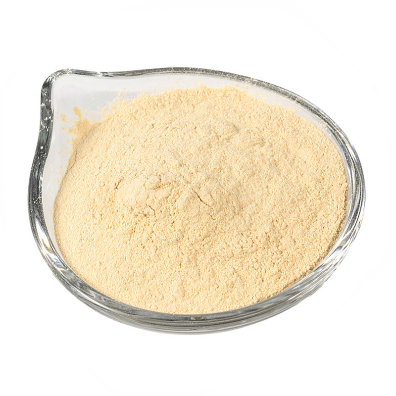 Roasted Onion Powder