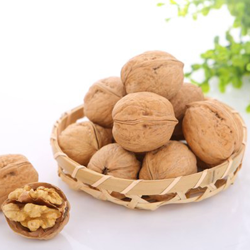 Walnut in-Shell/Kernel