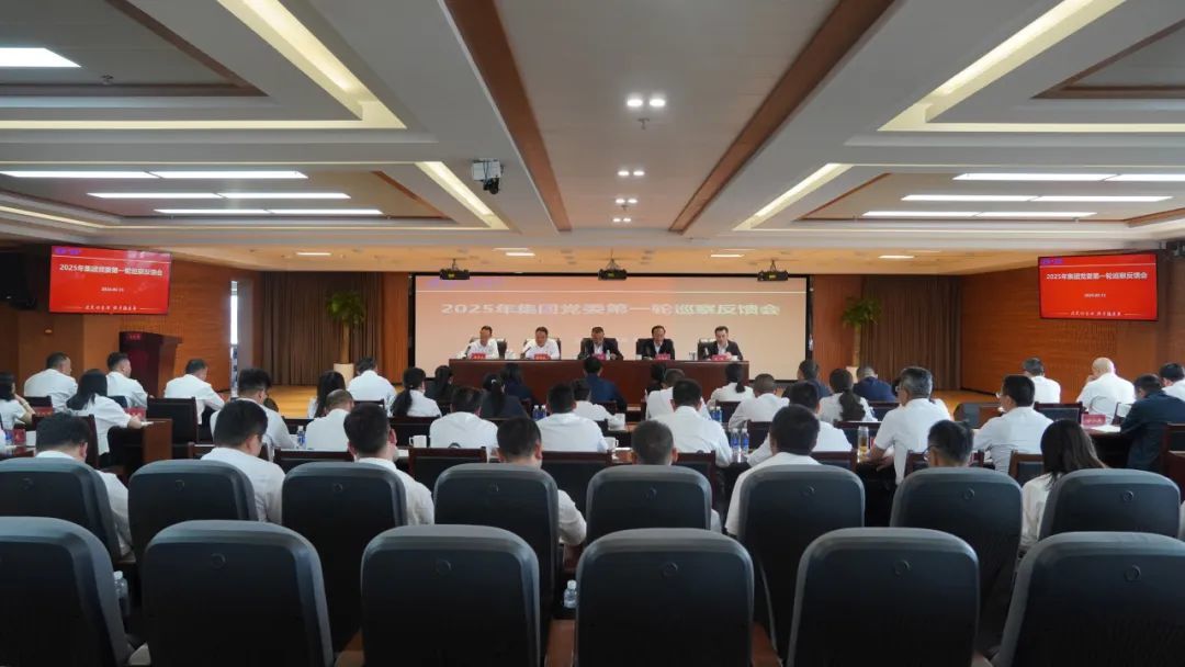 集團(tuán)黨委第一巡察組向公司黨委反饋巡察情況