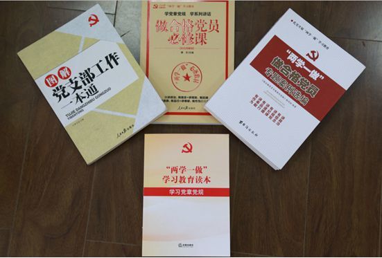 公司黨委開展“七一”主題系列活動深入推進“兩學一做”學習教育