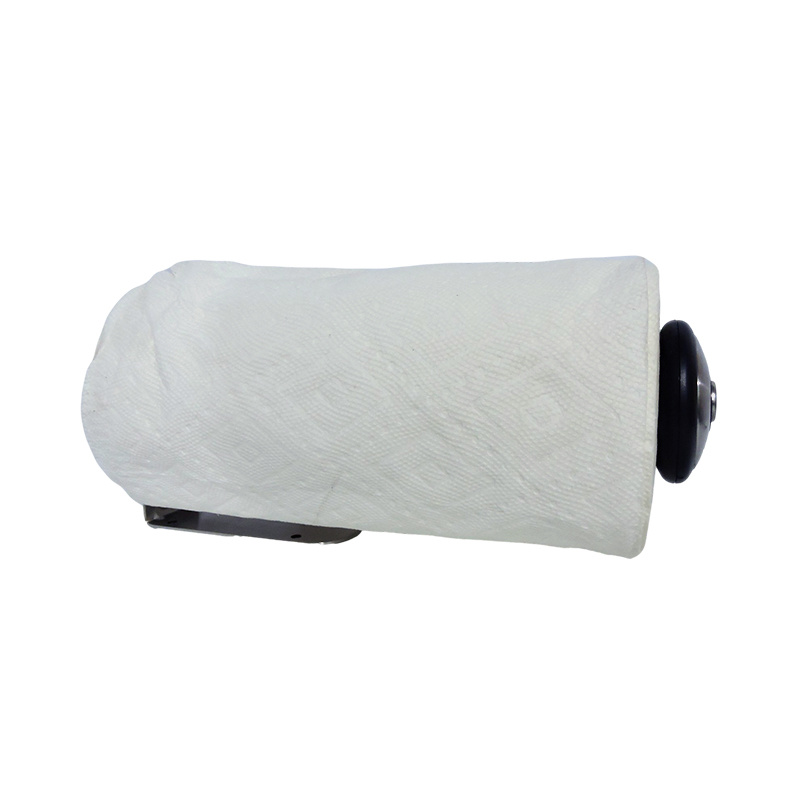 C2 wall-mounted tissue holder DJ-ZJ011